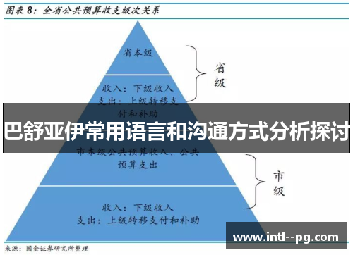 巴舒亚伊常用语言和沟通方式分析探讨